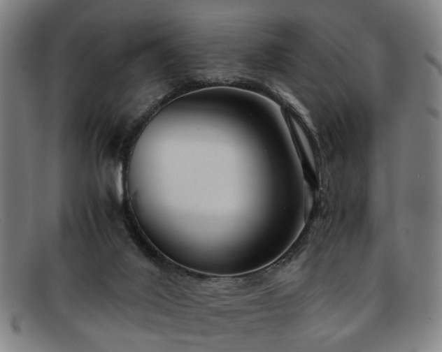 X0000091880020200709121422