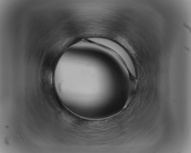 X0000091880021200709121422