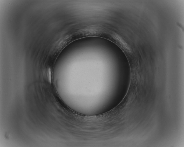 X0000091880022200709121422