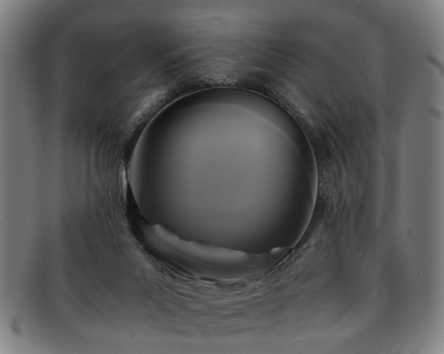 X0000091880023200709121422