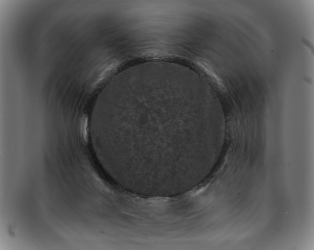 X0000091880024200709121422