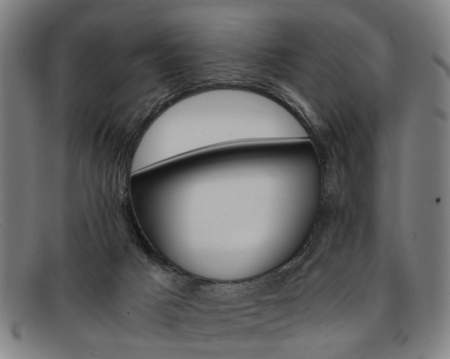 X0000091880025200709121422