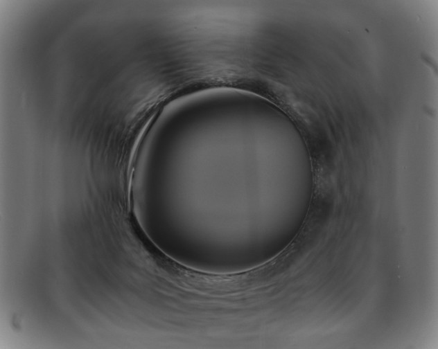 X0000091880027200709121422