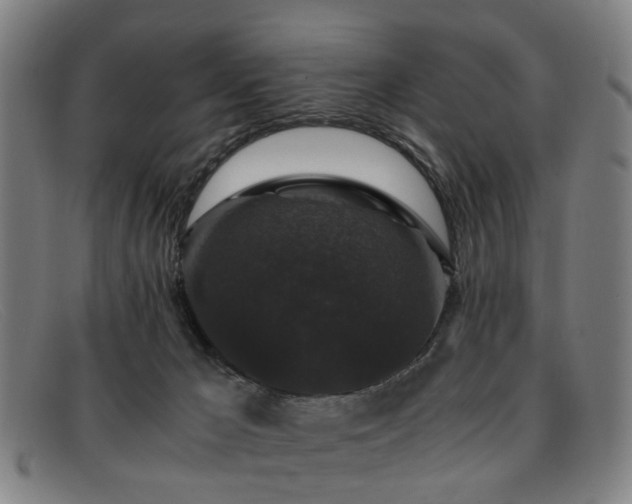 X0000091880029200709121421