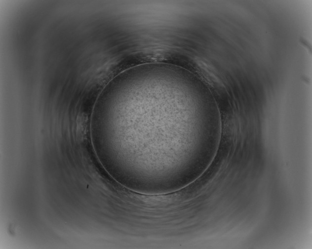 X0000091880030200709121421