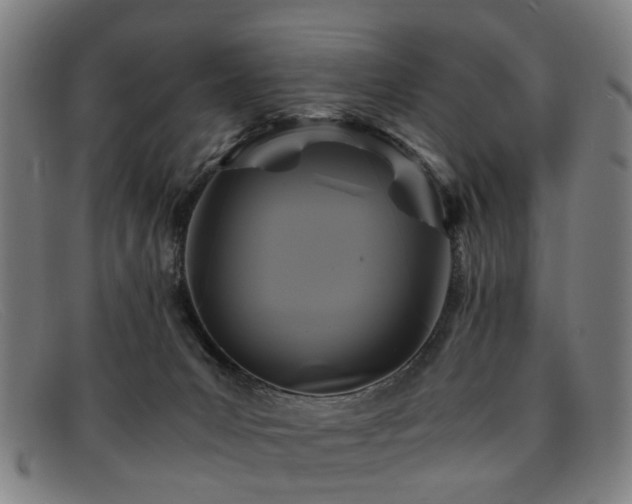 X0000091880031200709121421