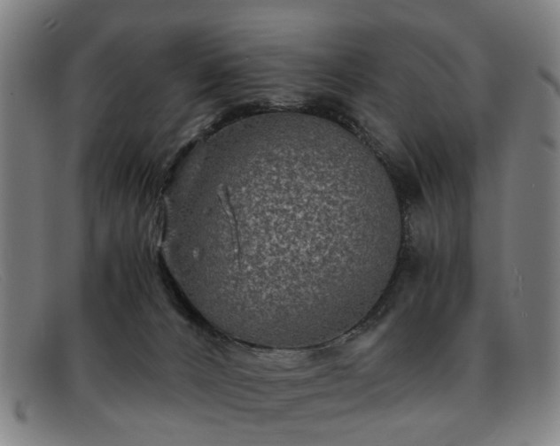 X0000091880032200709121421