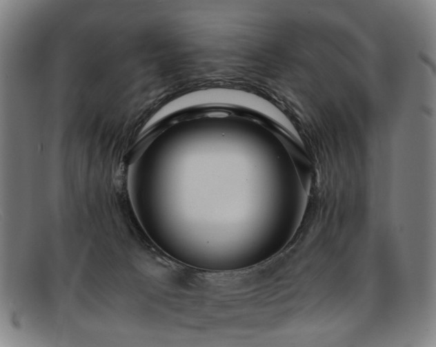 X0000091880033200709121421