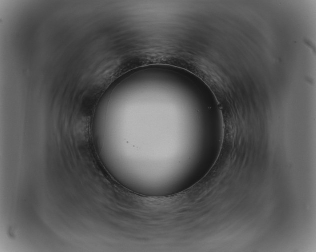 X0000091880034200709121421