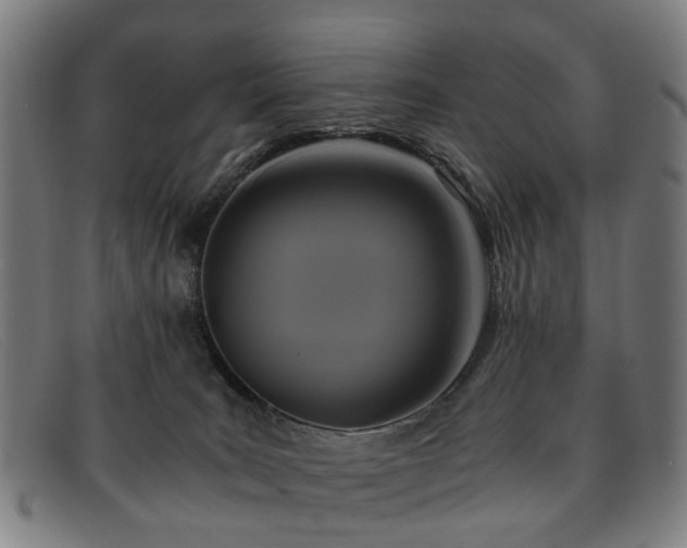 X0000091880035200709121421