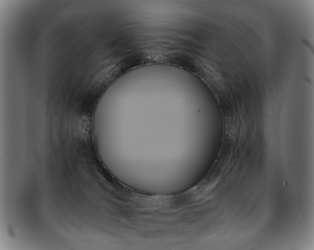 X0000091880036200709121421