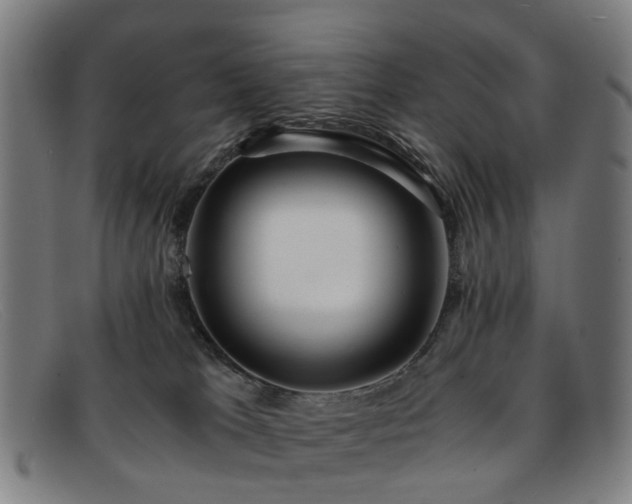 X0000091880037200709121421