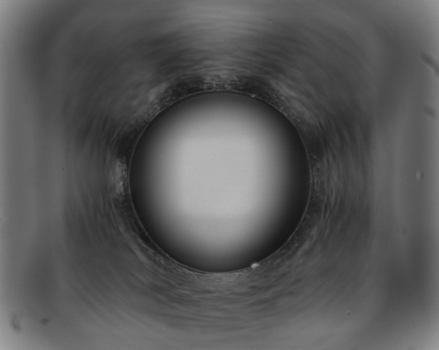 X0000091880038200709121421