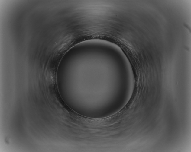 X0000091880039200709121421