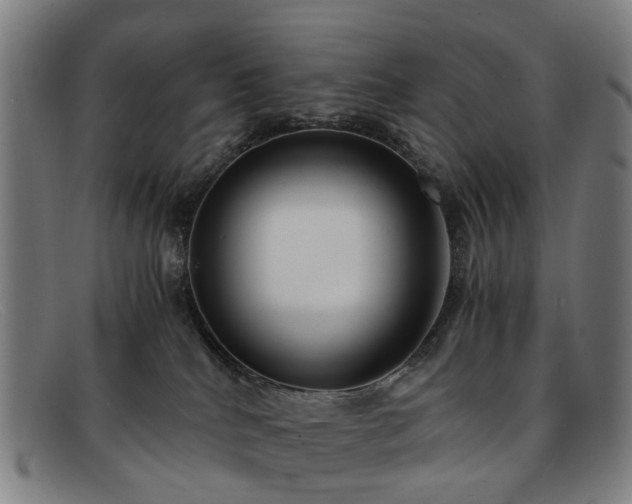 X0000091880040200709121421