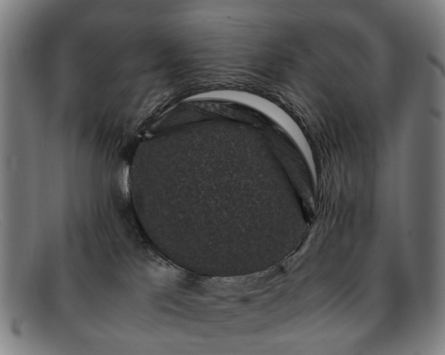 X0000091880041200709121421