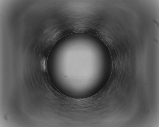 X0000091880042200709121421