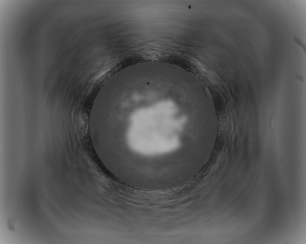 X0000091880043200709121421