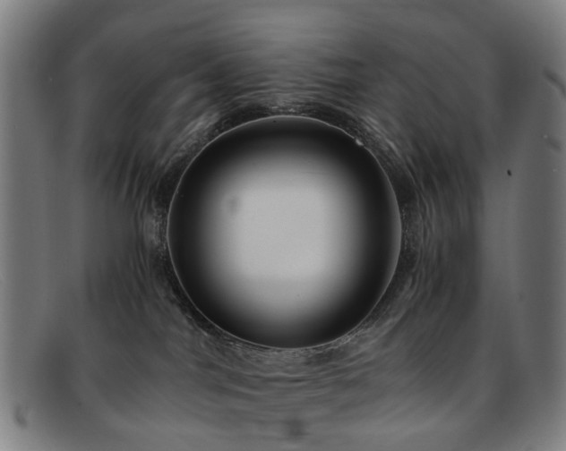 X0000091880044200709121421