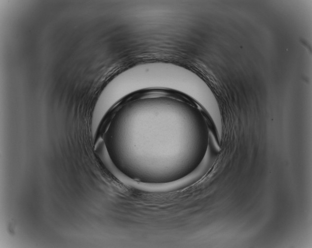 X0000091880045200709121421