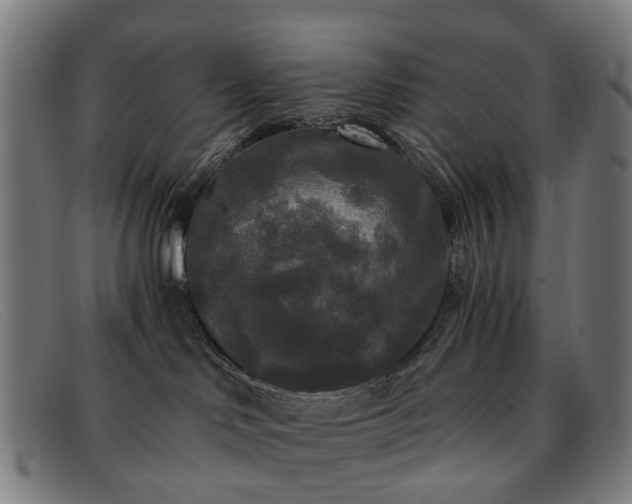 X0000091880046200709121421