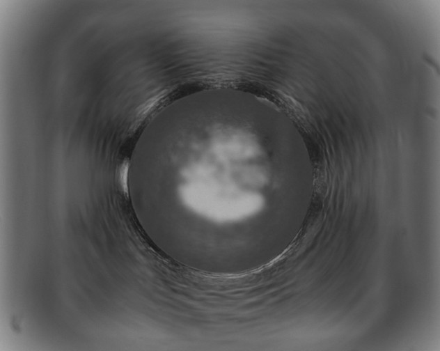 X0000091880047200709121421