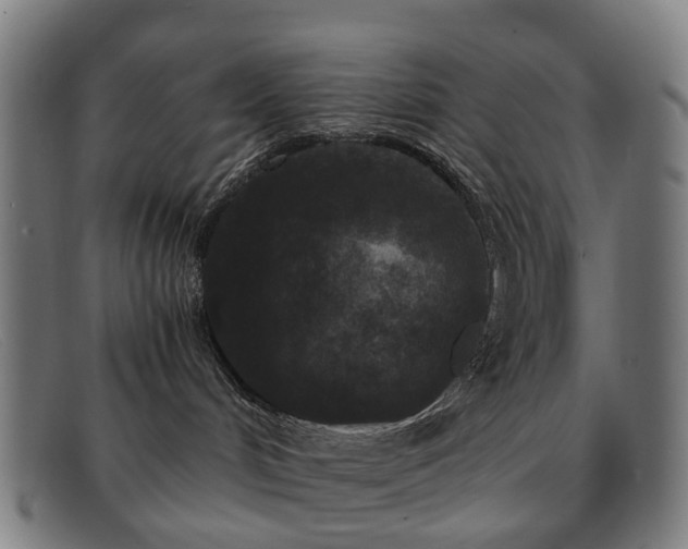 X0000091880048200709121421