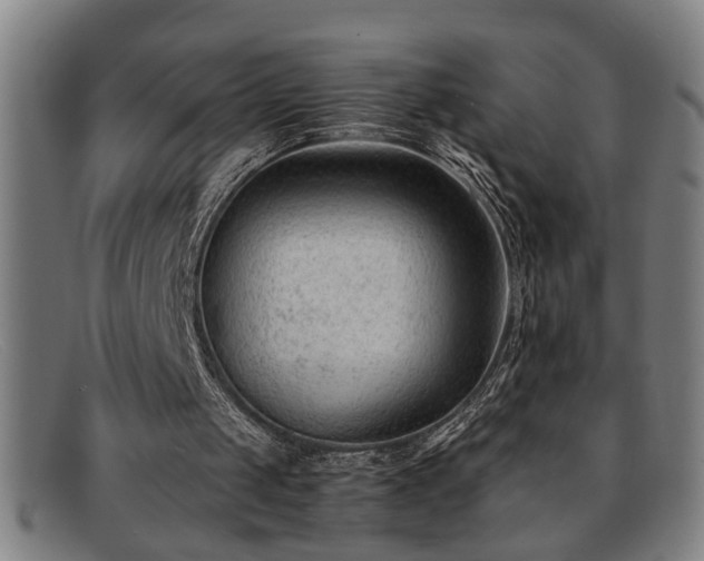 X0000091880049200709121421