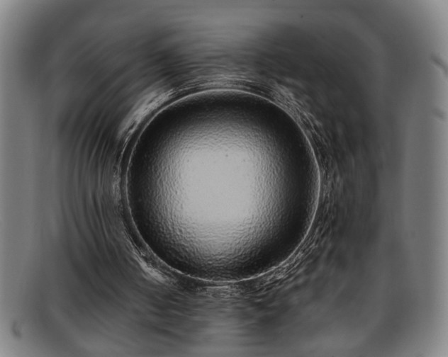 X0000091880050200709121421