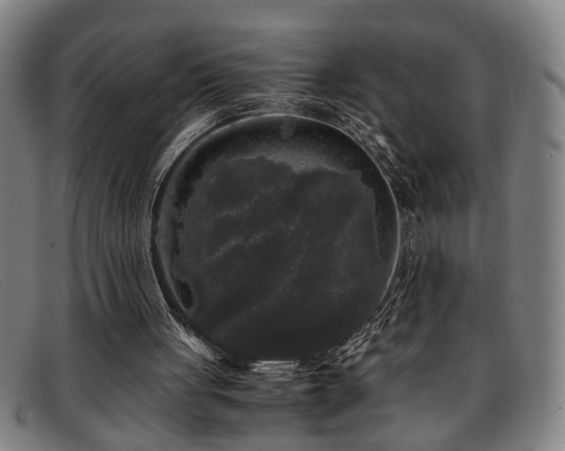 X0000091880051200709121421