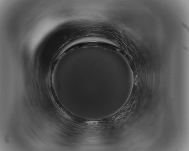 X0000091880052200709121421