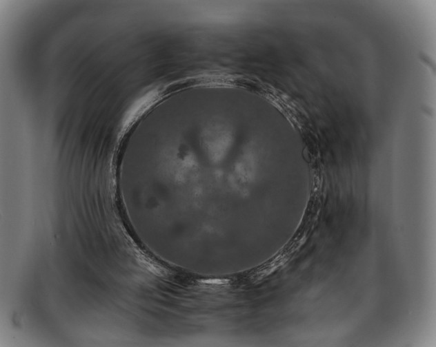 X0000091880053200709121421