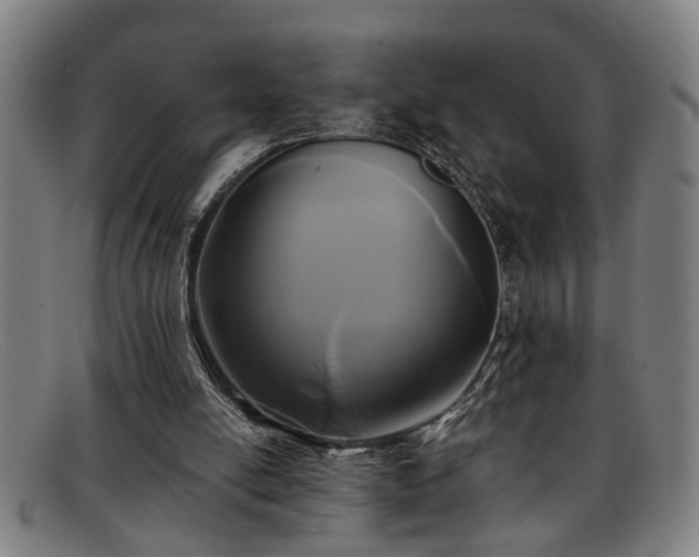 X0000091880054200709121421