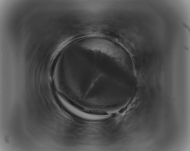 X0000091880055200709121421