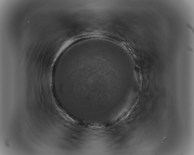 X0000091880056200709121421