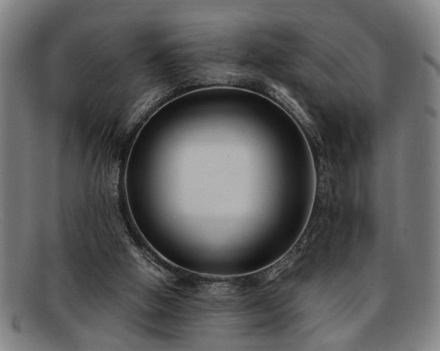 X0000091880058200709121421