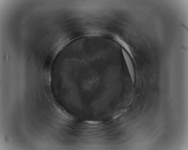 X0000091880059200709121421