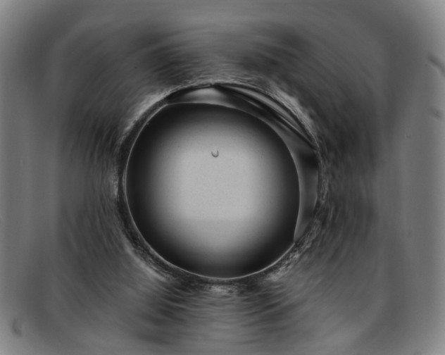 X0000091880060200709121421