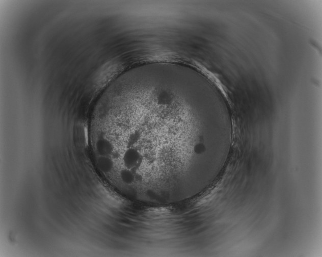 X0000091880061200709121421