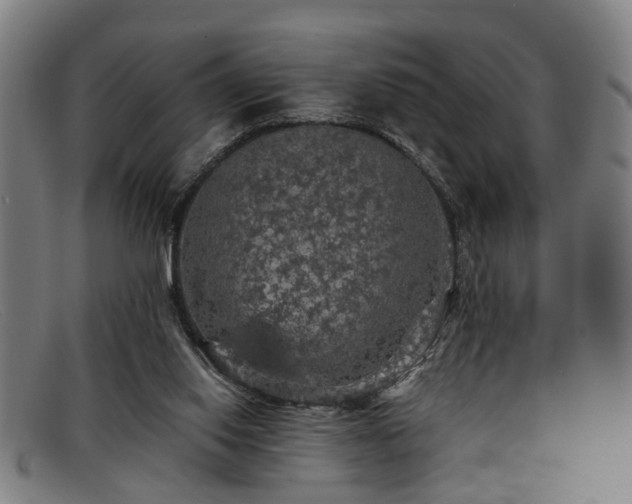 X0000091880062200709121421