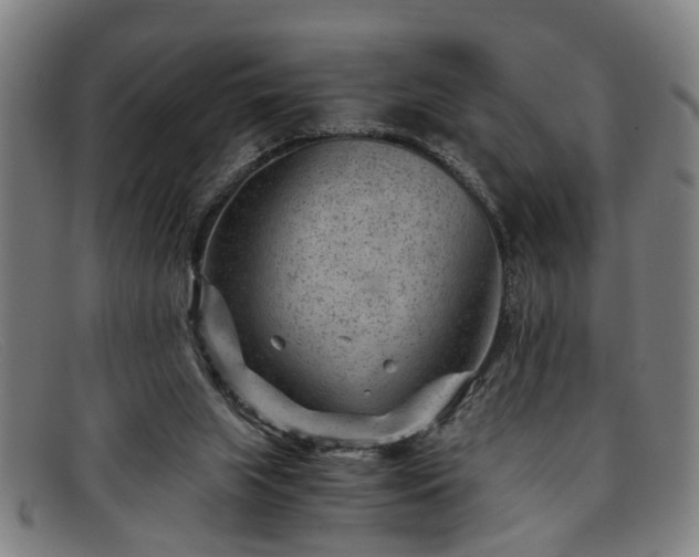 X0000091880063200709121421