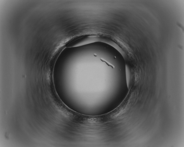 X0000091880064200709121421