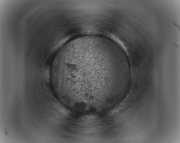 X0000091880065200709121421