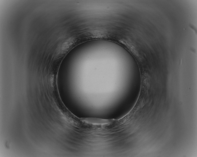 X0000091880066200709121421