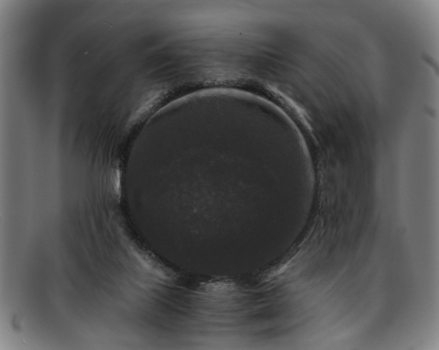 X0000091880067200709121421