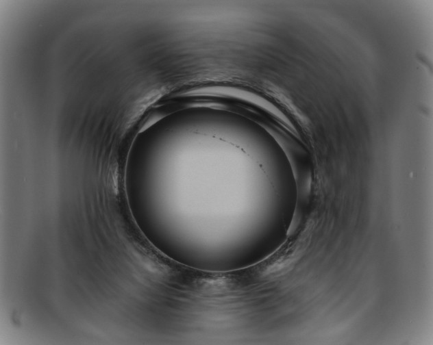 X0000091880068200709121421