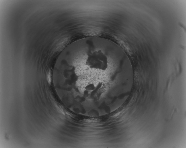 X0000091880069200709121421