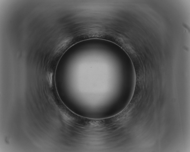 X0000091880070200709121421