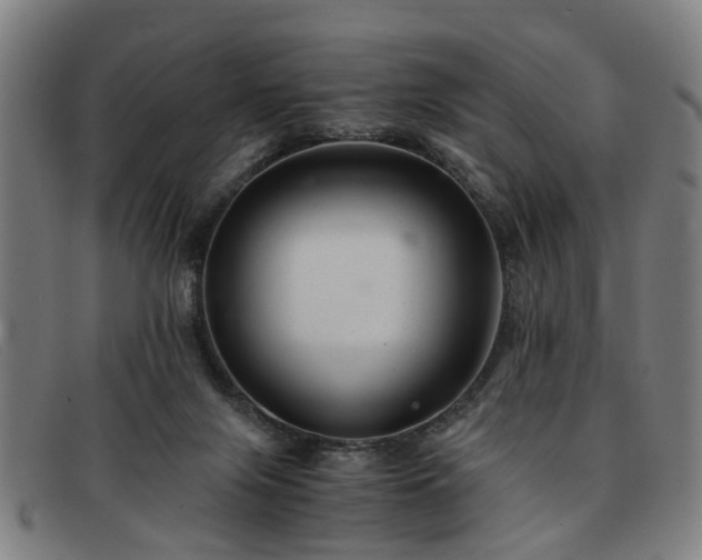 X0000091880071200709121421