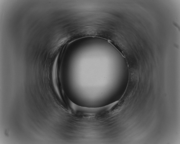 X0000091880072200709121421